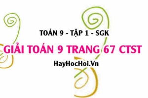 Giải Toán 9 trang 67 tập 1 Chân trời sáng tạo SGK